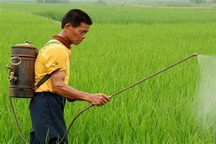 磷酸二氢钾的正确用法