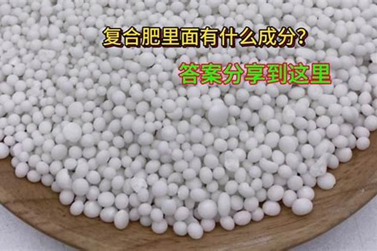 兰花有花苞,还要施什么肥吗？