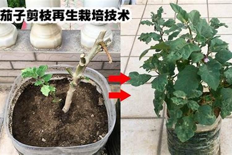 全国有哪些磷肥厂？ 知道的帮帮忙