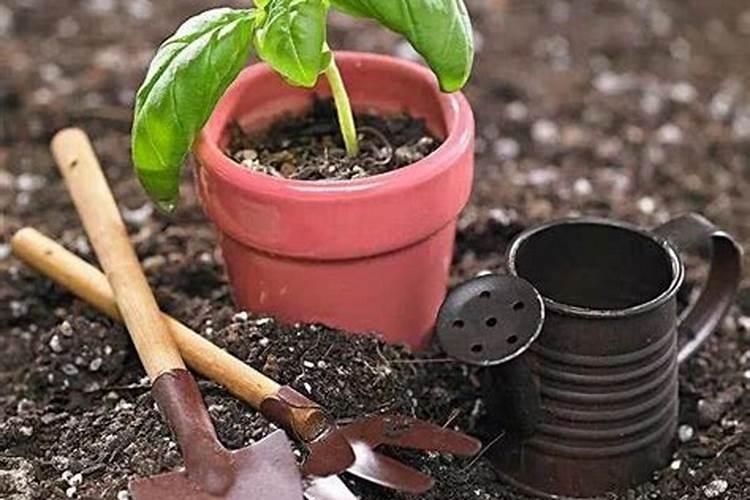 怎样用骨粉、蛋壳等沤制有机肥？