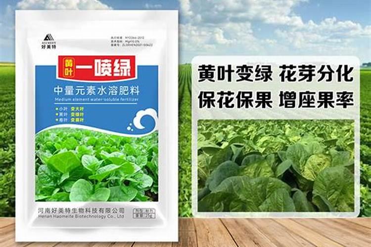 盐湖股份属于什么板块