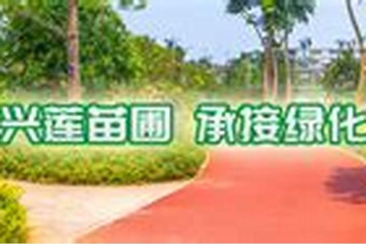 河南省适合种植哪些花草