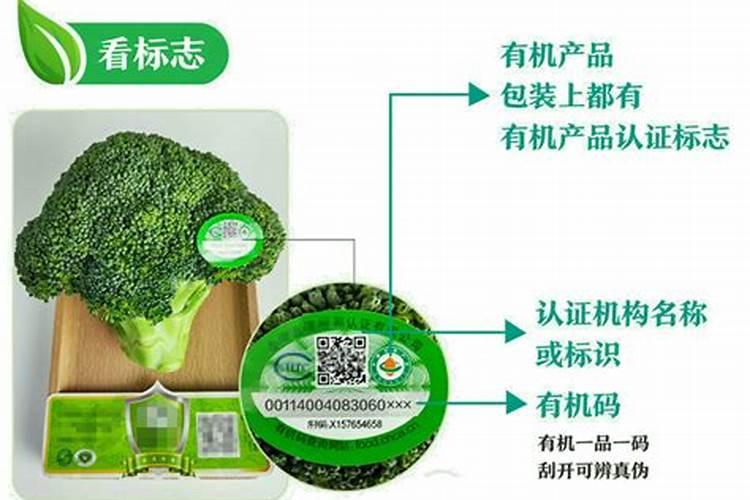 金弹子秋季施什么肥