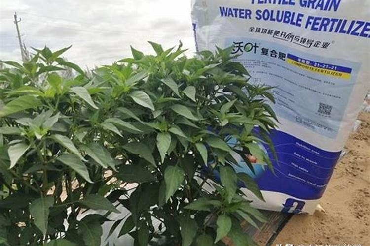 上市公司农业股票有哪些龙头股份？