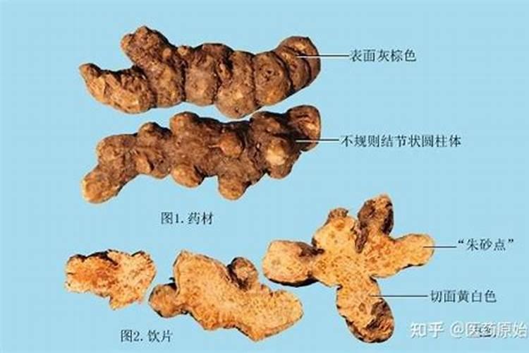 猕猴桃的需肥特点