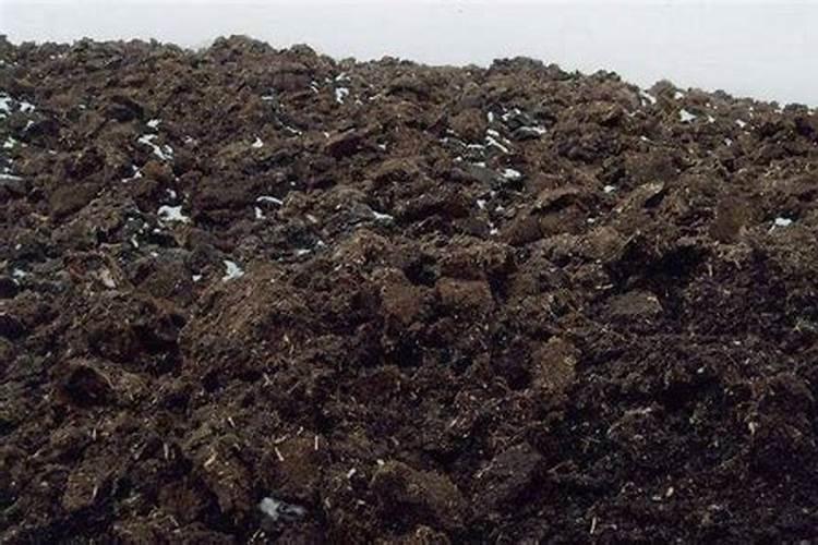 草炭土的成分和特点