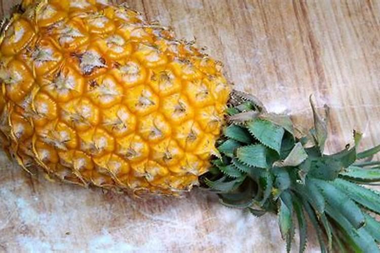 菠萝的施肥方法是什么 这样有利于植株的吸收