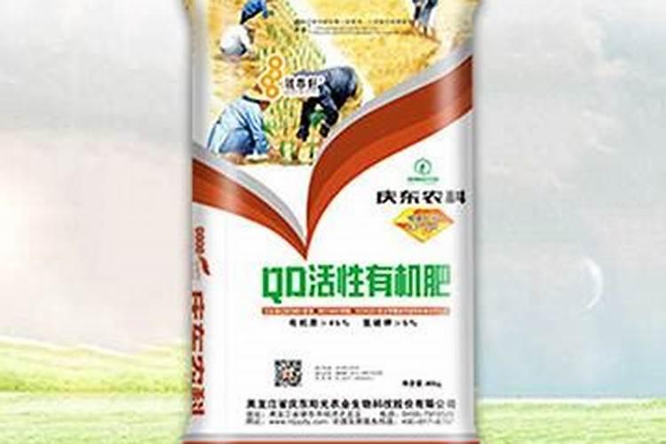 白菜后期施什么肥