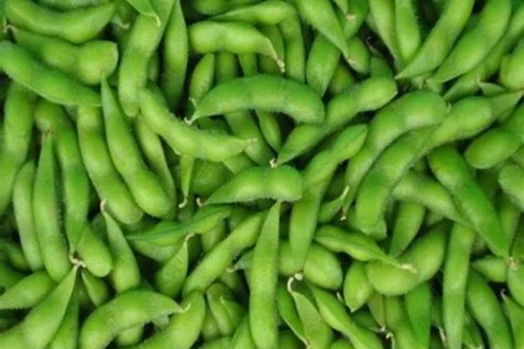 毛豆壳可以用来做花肥吗 毛豆壳是不是可以用来做花肥吗