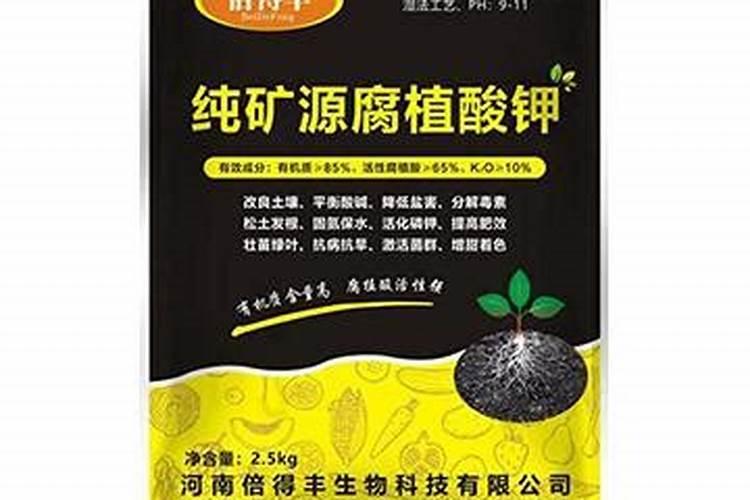 芸苔素对豆芽用量