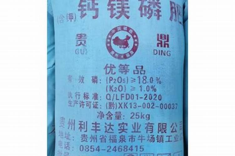 广西龙胜适合种植什么蔬菜？