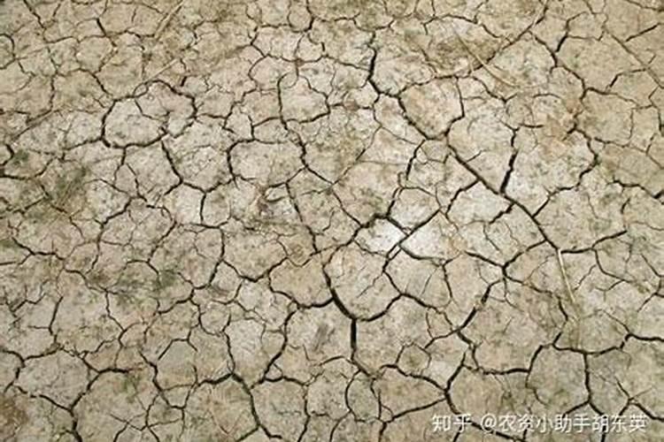 矿源黄腐酸钾大概多少钱？矿源黄腐酸钾什么样的好？矿源黄腐酸钾的使用...