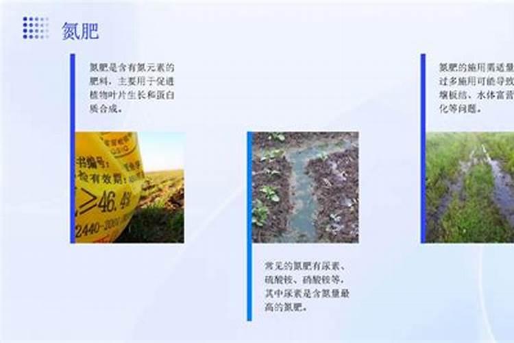 水稻的哪些时期可以喷施叶面肥？