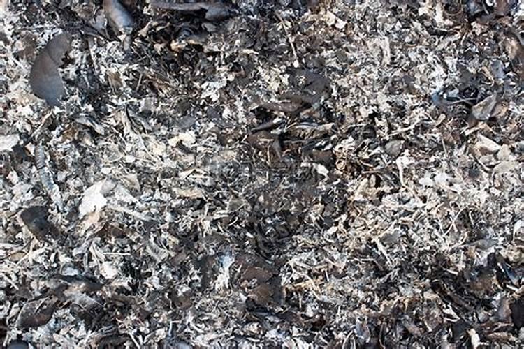 东港市山泉草莓种植专业合作社怎么样？