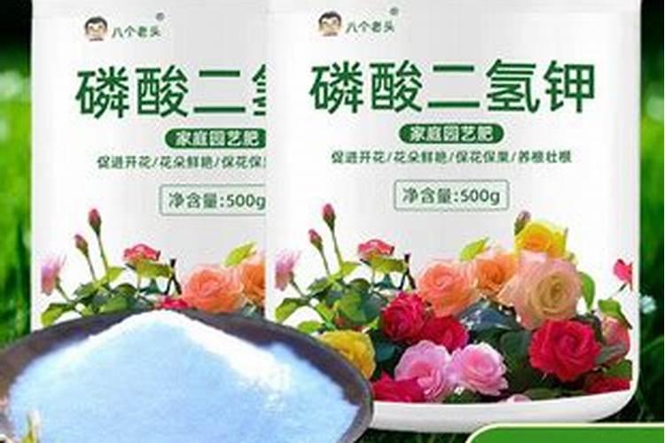 清水增绿添彩 常州南市河生态修复成效初显