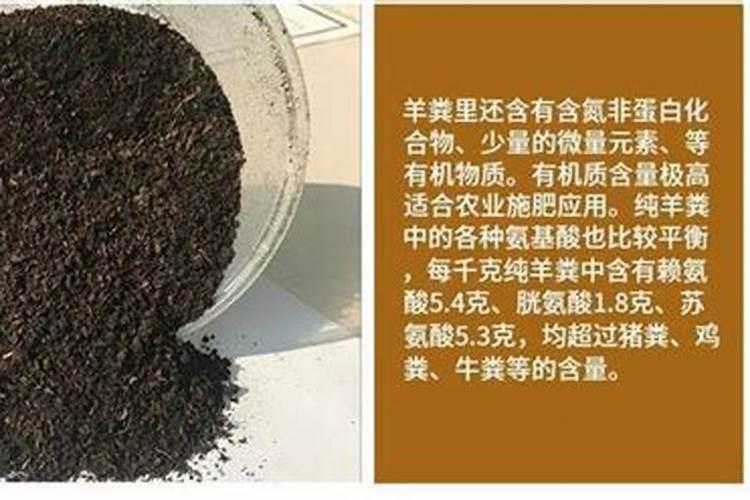 鸟粪怎样腐熟做肥料