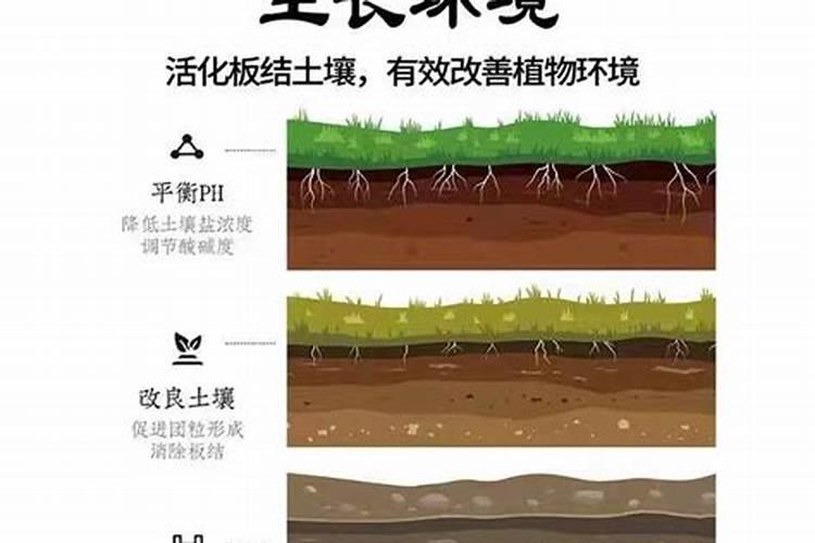 冬季兰花谢后怎么养护