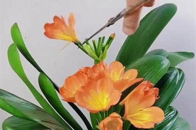 吡嘧磺隆除草剂可以与肥科用吗？