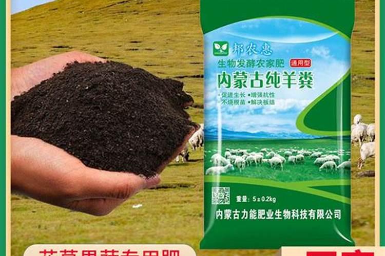 甘蔗种植管理与施肥