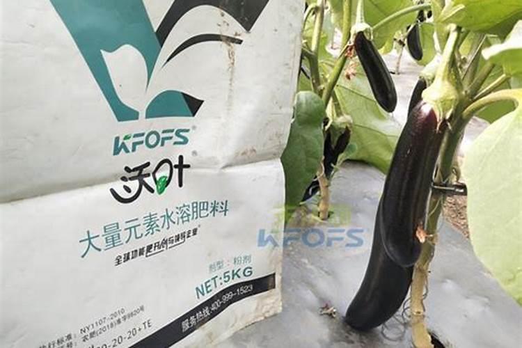 铁树刚刚移栽的可以用硫酸亚铁和磷酸二氢钾吗？