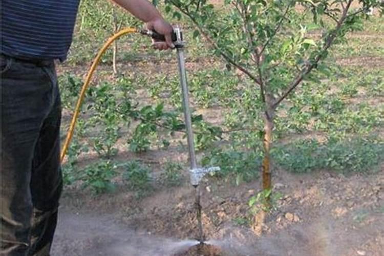 门茄坐住后开始第一次追肥,可以施入尿素和钾肥吗？