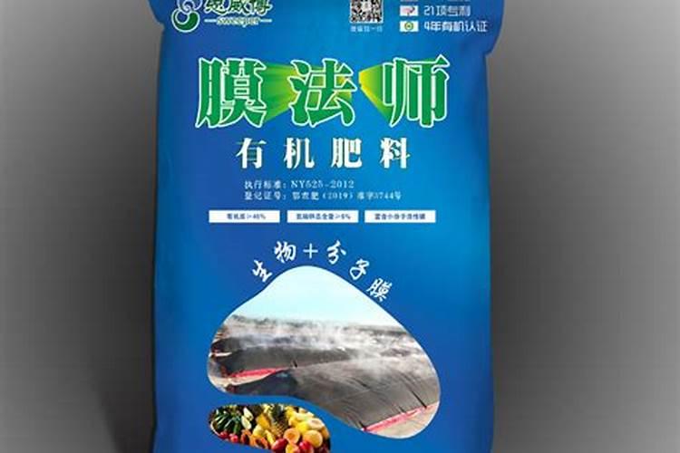 桔子树开花吗,在什么时候开花