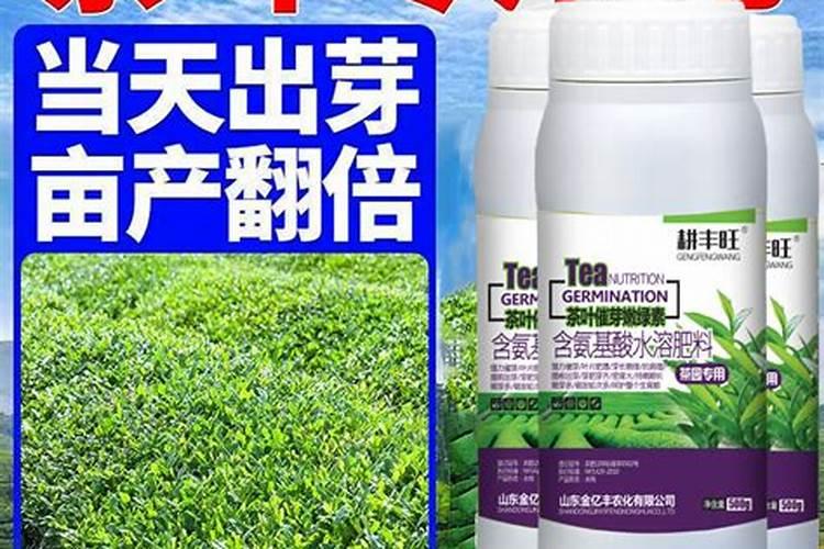 叶面喷施锌肥作用