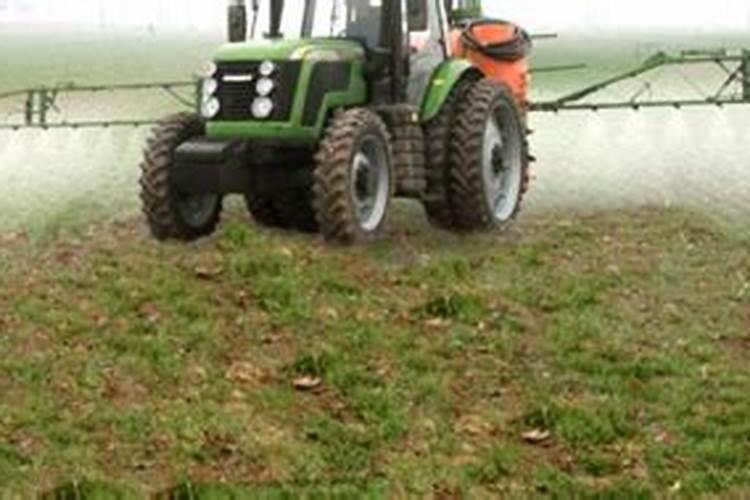 植物缺氮的症状怎么办？