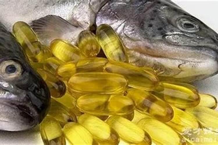 如何给芦荟施肥