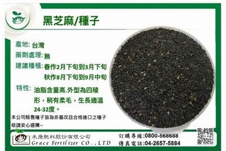 种芝麻用什么肥料