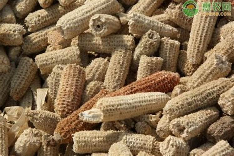 用玉米芯种植平菇步骤