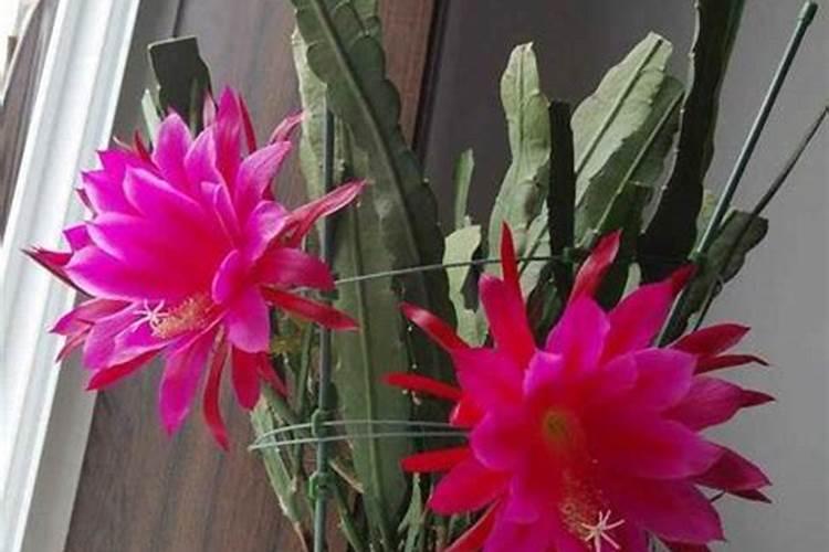 唐山有哪些环境静谧的茶楼推荐？