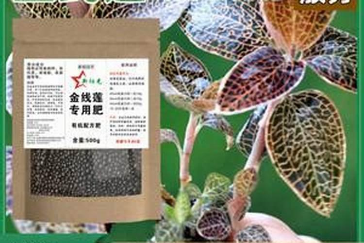 酰胺态氮肥的特点,氨基酸肥料有哪些