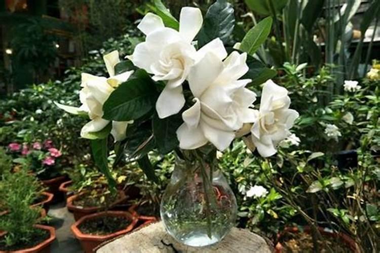 怎样才能得到高氮肥？