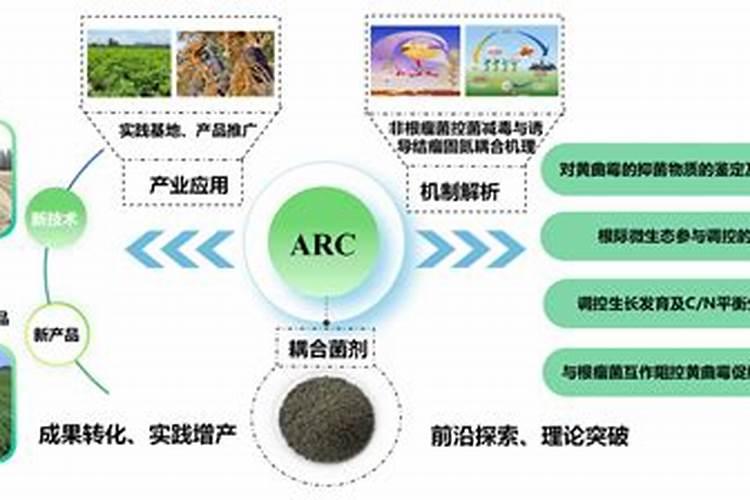植物固氮主要方式