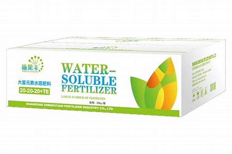 文竹施肥时间,怎样给文竹施肥