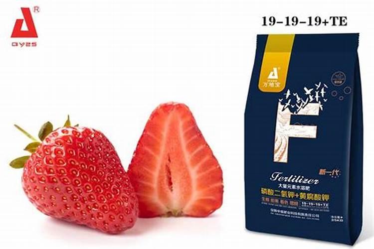 草莓的施肥技术是什么？