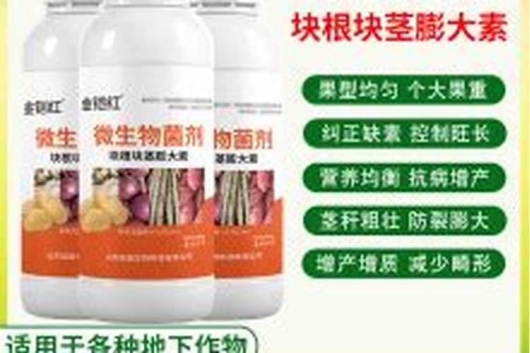 红薯施肥,需要什么讲究