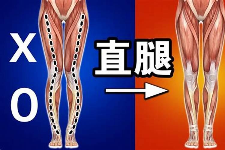 一斤白醋浇韭菜的方法