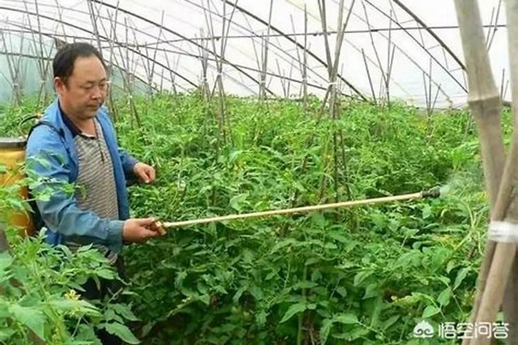 化肥的原料都有什么,都来自于哪里