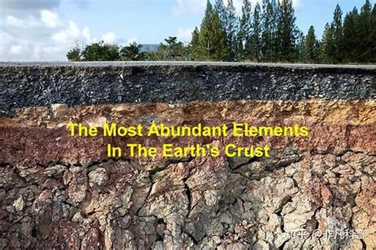 细胞中元素的存在形式