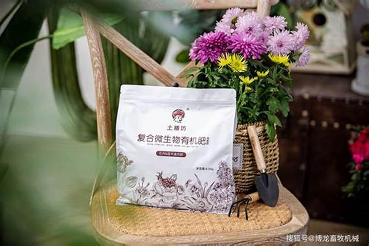 有机肥可以直接种花吗