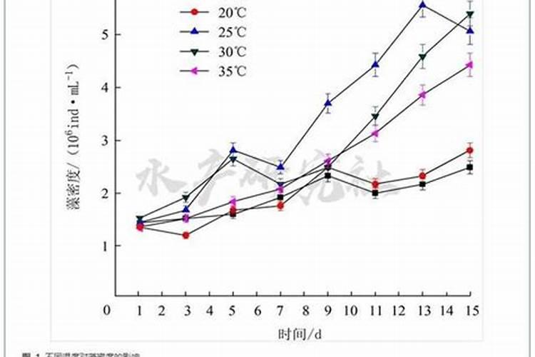 小球藻在家怎么培养