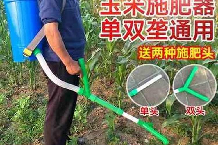 杨梅每亩栽培多少株