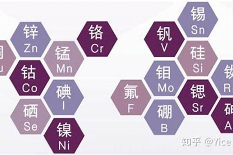 大量元素和微量元素怎么背