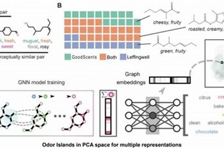 绿萝用什么肥料长得快？