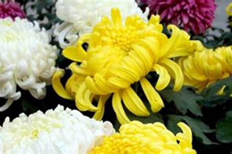 氮肥有哪些 这些都是常见的氮肥