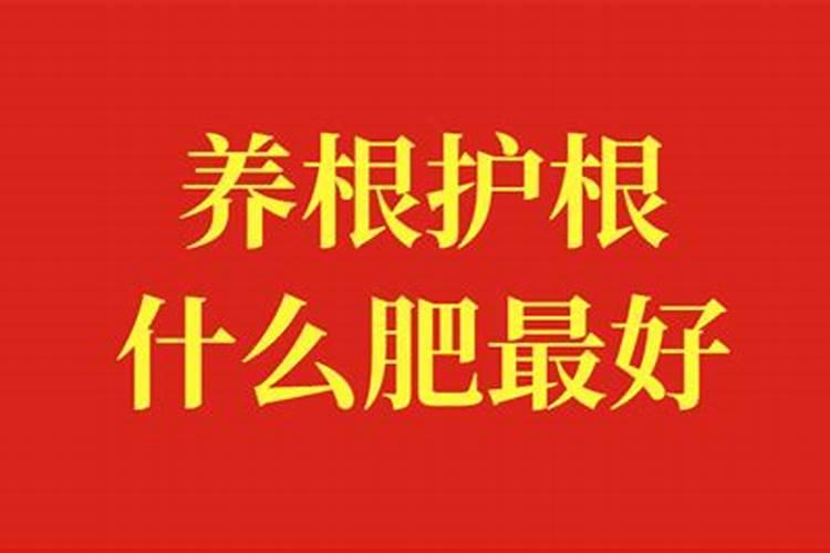 果树幼苗用什么肥最好？