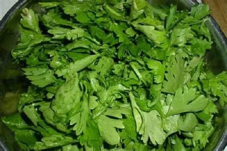 绿色马铃薯栽培技术 马铃薯怎么施肥好