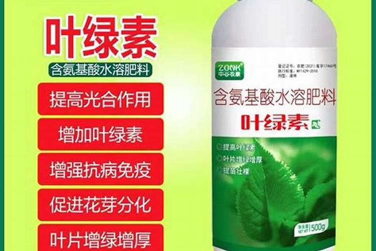 用芋头最快提苗化肥